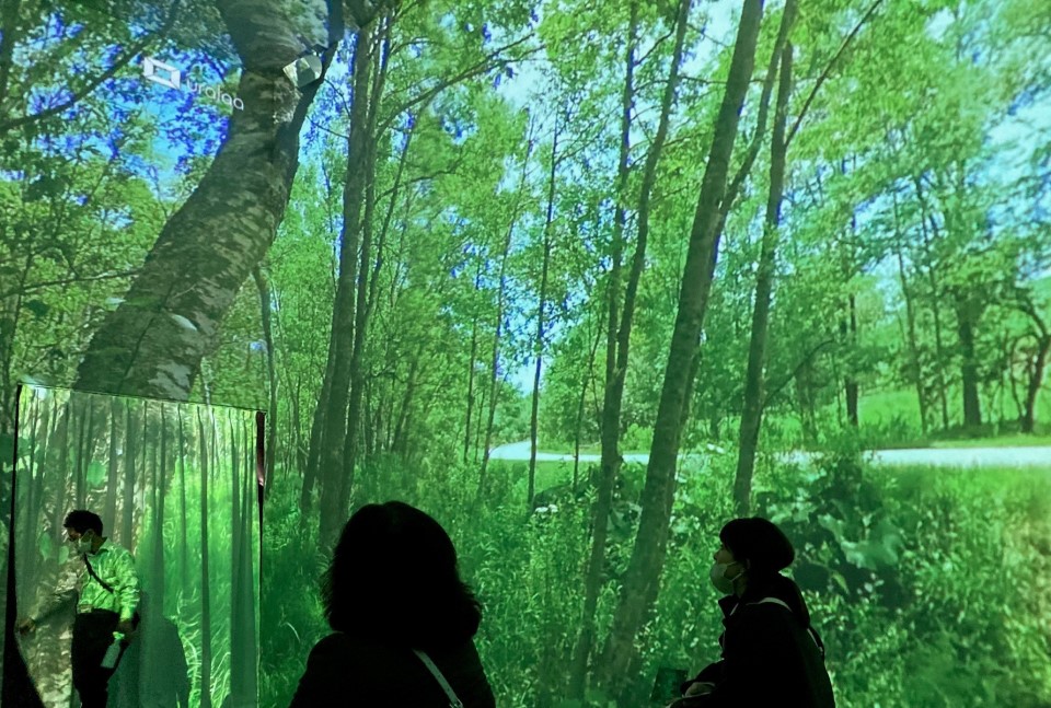 入場口では空間型VR「uralaa」による森林の映像でお出迎え