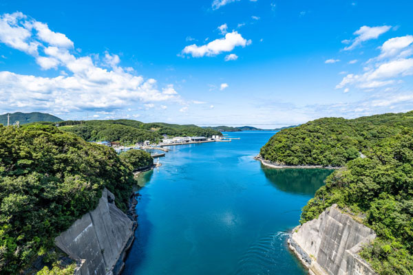 美しく豊かな対馬の海