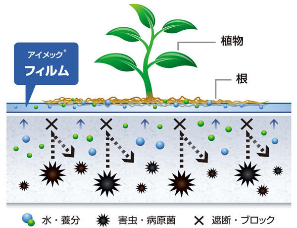 砂漠でも育つトマト栽培技術「アイメック」で世界の食料問題に挑む【メビオール株式会社（神奈川県平塚市）】