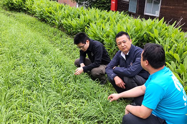 関川村役場の農林課の主導により近隣の農家で、実験的にウイスキー用のライ麦を栽培しようとしている。休耕地で栽培が可能になれば、新たな“ライ麦産地”になる可能性がある
