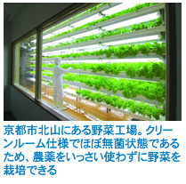 京都市北山にある野菜工場。クリーンルーム仕様でほぼ無菌状態であるため、農薬をいっさい使わずに野菜を栽培できる