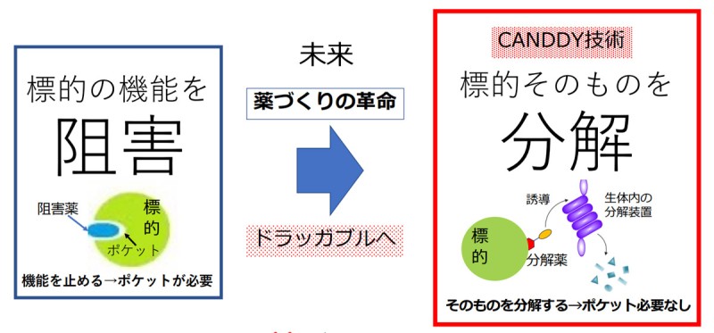 CANDDY技術は標的そのものを分解する