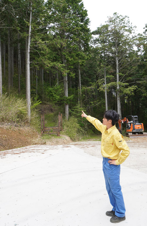 プラントエンジニアから、家業の林業を継ぐことを決意