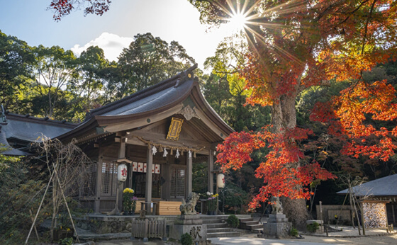 福岡の竈門神社